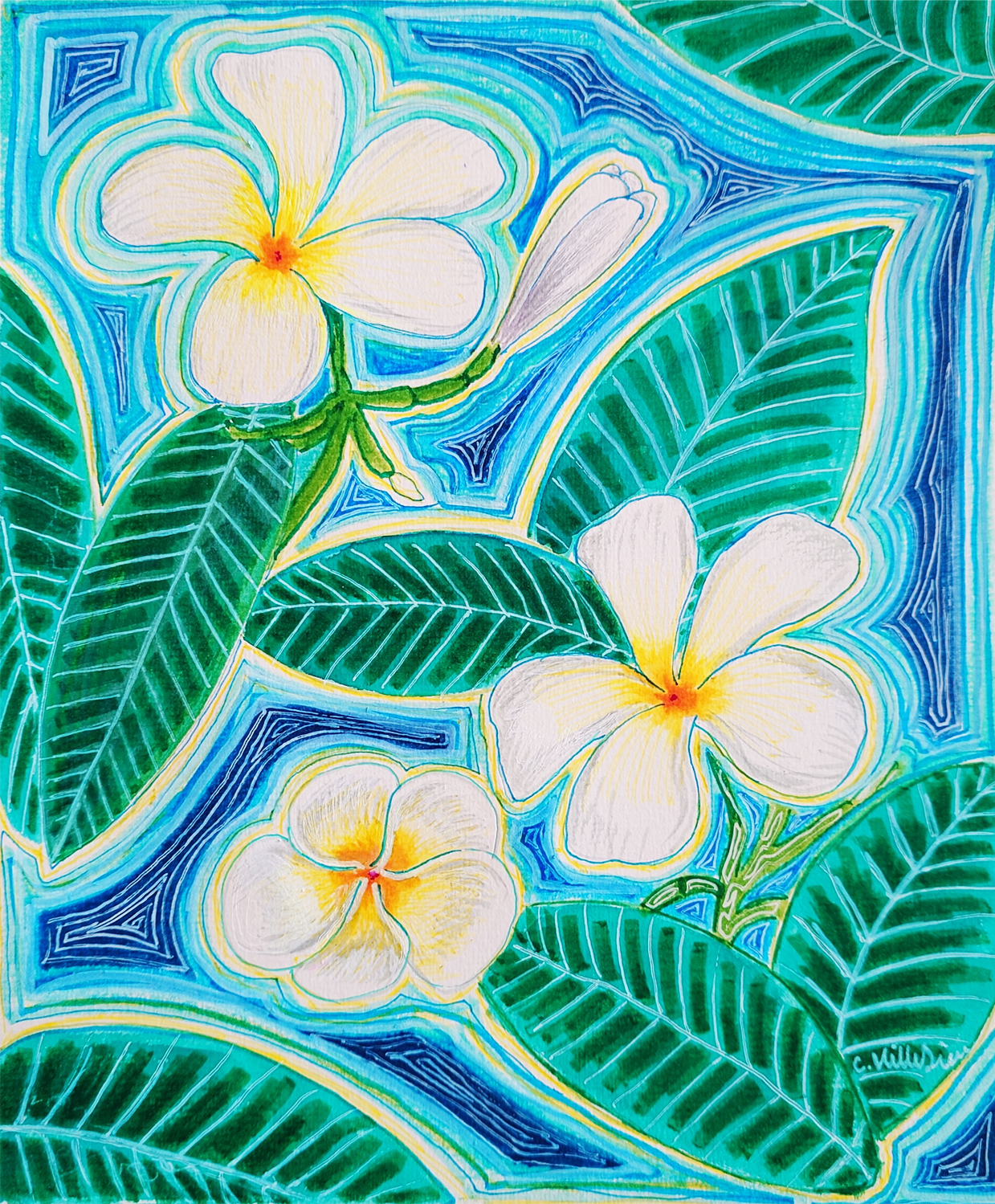 Fleur de frangipanier