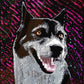 Portraits d'animaux personnalisés