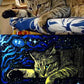 Portraits d'animaux personnalisés