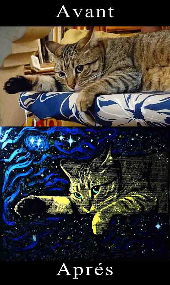 Portraits d'animaux personnalisés