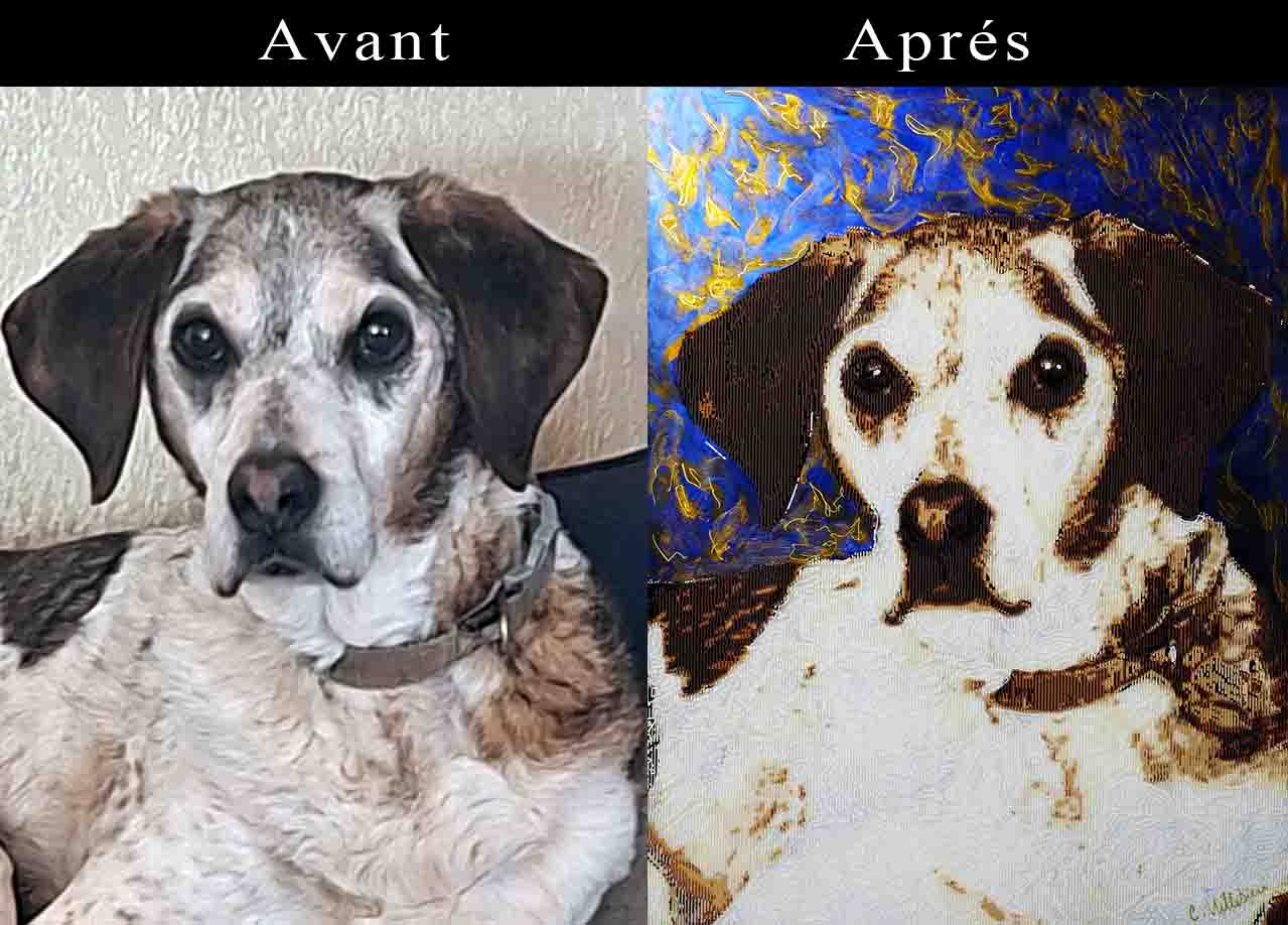 Portraits d'animaux personnalisés