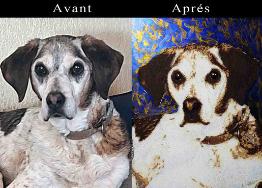 Portraits d'animaux personnalisés
