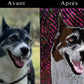 Portraits d'animaux personnalisés