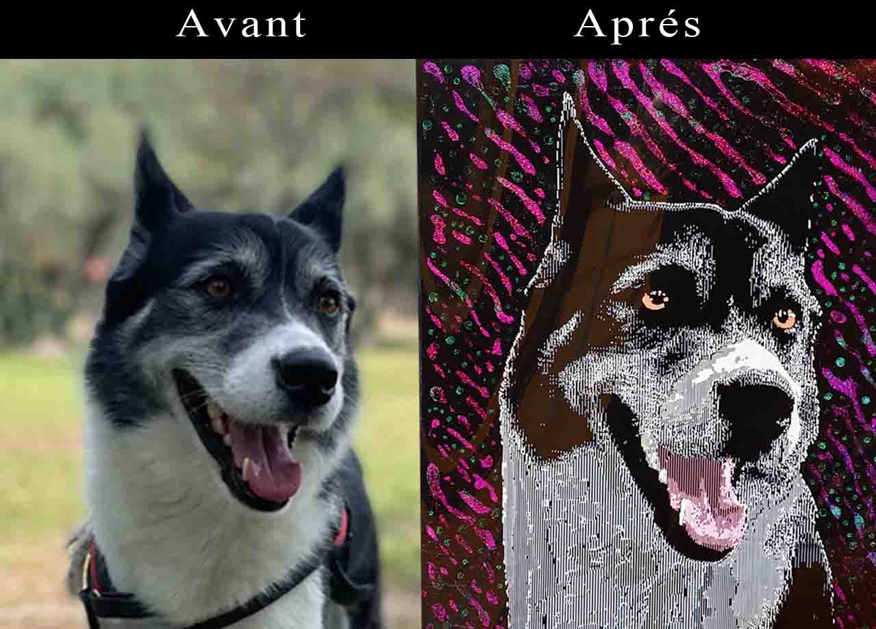 Portraits d'animaux personnalisés